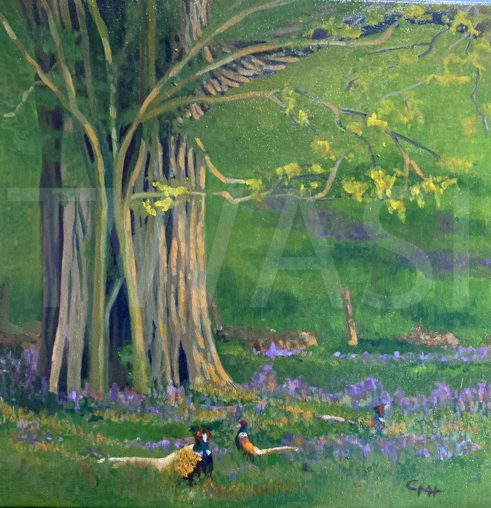 Oak and Pheasants Framed 50x50cm Oils on canvas £450 by Gillian Hill