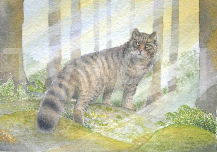 11. 'Watchful' by John Horton Watercolour