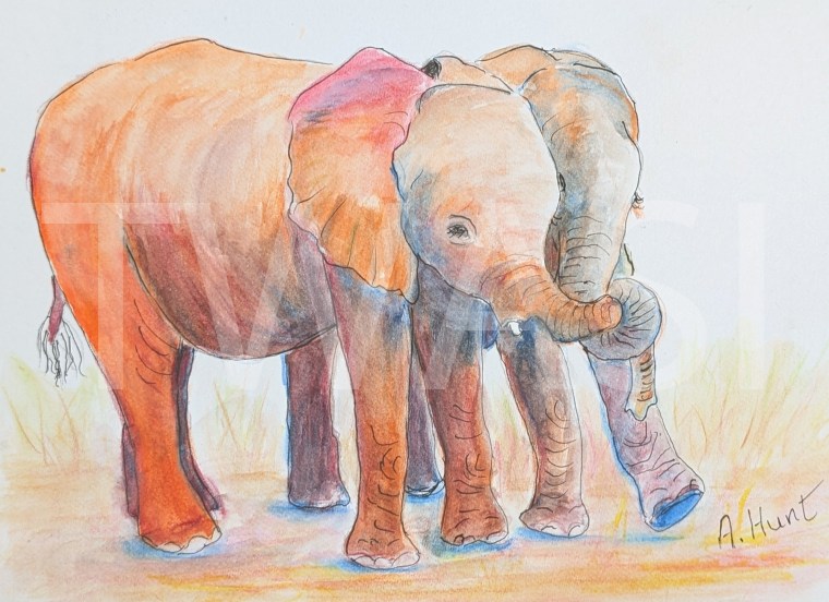12. 'Best of friends Kasewe and Mkaliva’ by Ann Hunt Watercolour Pencils and Ink