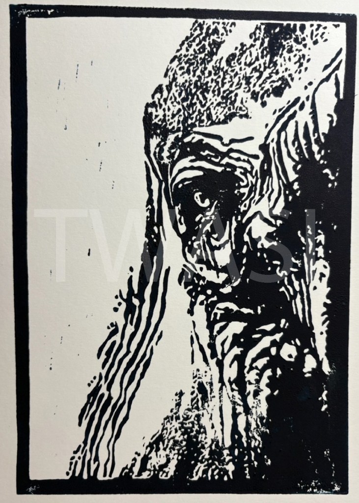 14. 'Wisdom' by Megan Elizabeth Lino Cut