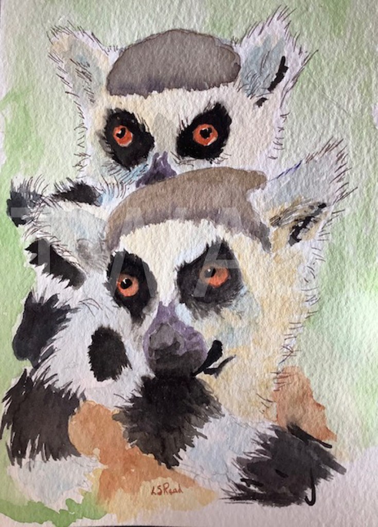 17. 'What can you see' by Leslie Read - Watercolour and ink