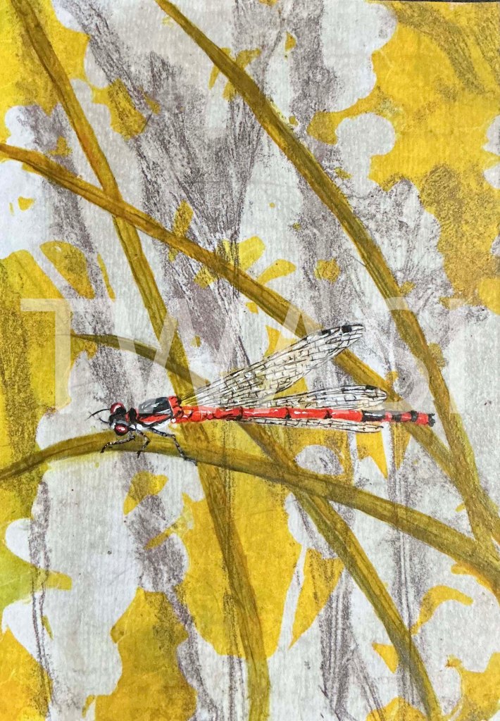 20. 'Damselfly' by Linda Travers Smith - Mixed Media