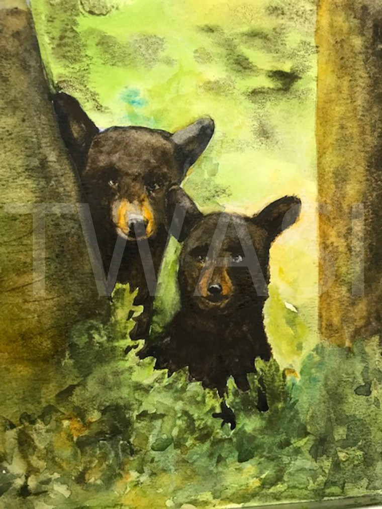 21. 'Well fancy seeing you' by Jan Watts - Watercolour