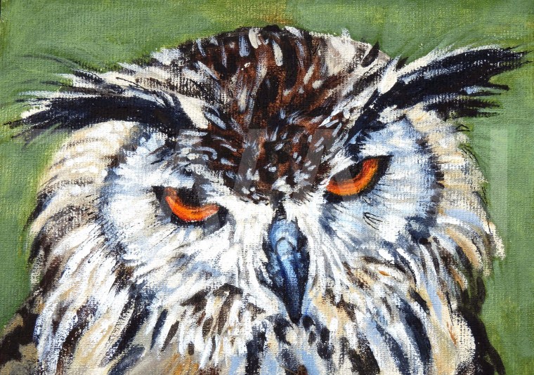 5. 'Owl with Attitude' by Lesley Connolly Acrylic on board