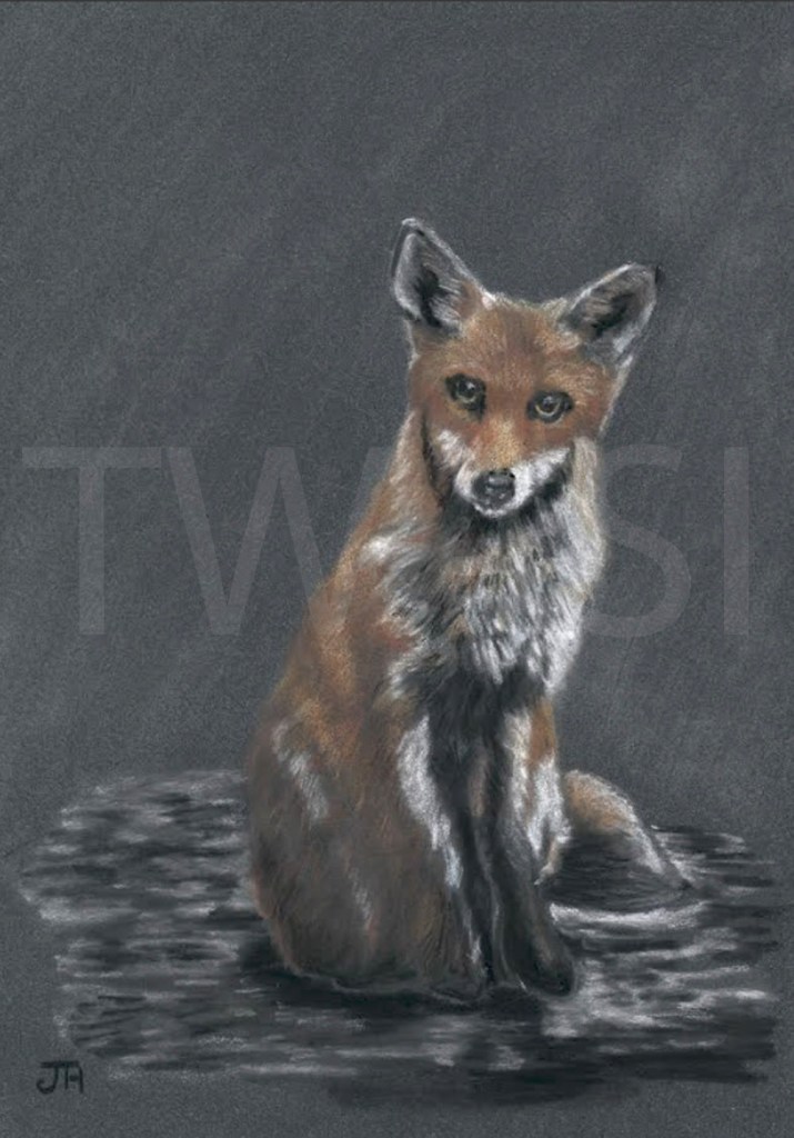 9. 'In the dark' by Jo Harminson - Coloured Pencil and Charcoal