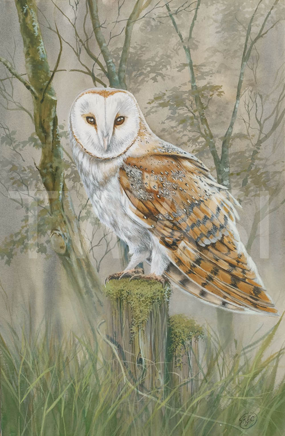 Dawn Spirit by Richard Crabtree Watercolour Framed 53 x 75 cms £580