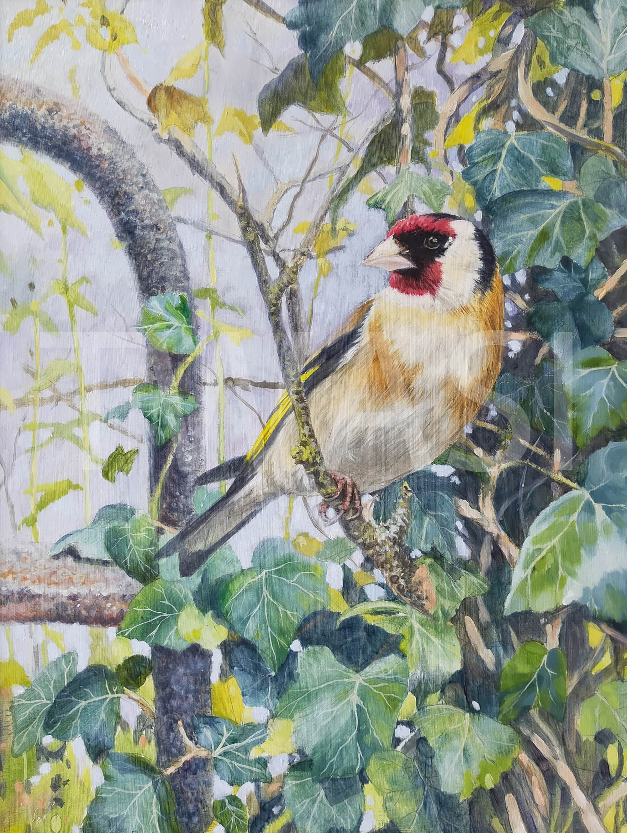 Goldfinch and Ivy by Richard Crabtree Oil framed 54 x 44 cms £500