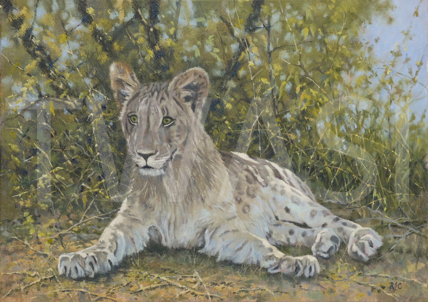 In the shade by Richard Crabtree Oil 75 x 56 cms £580