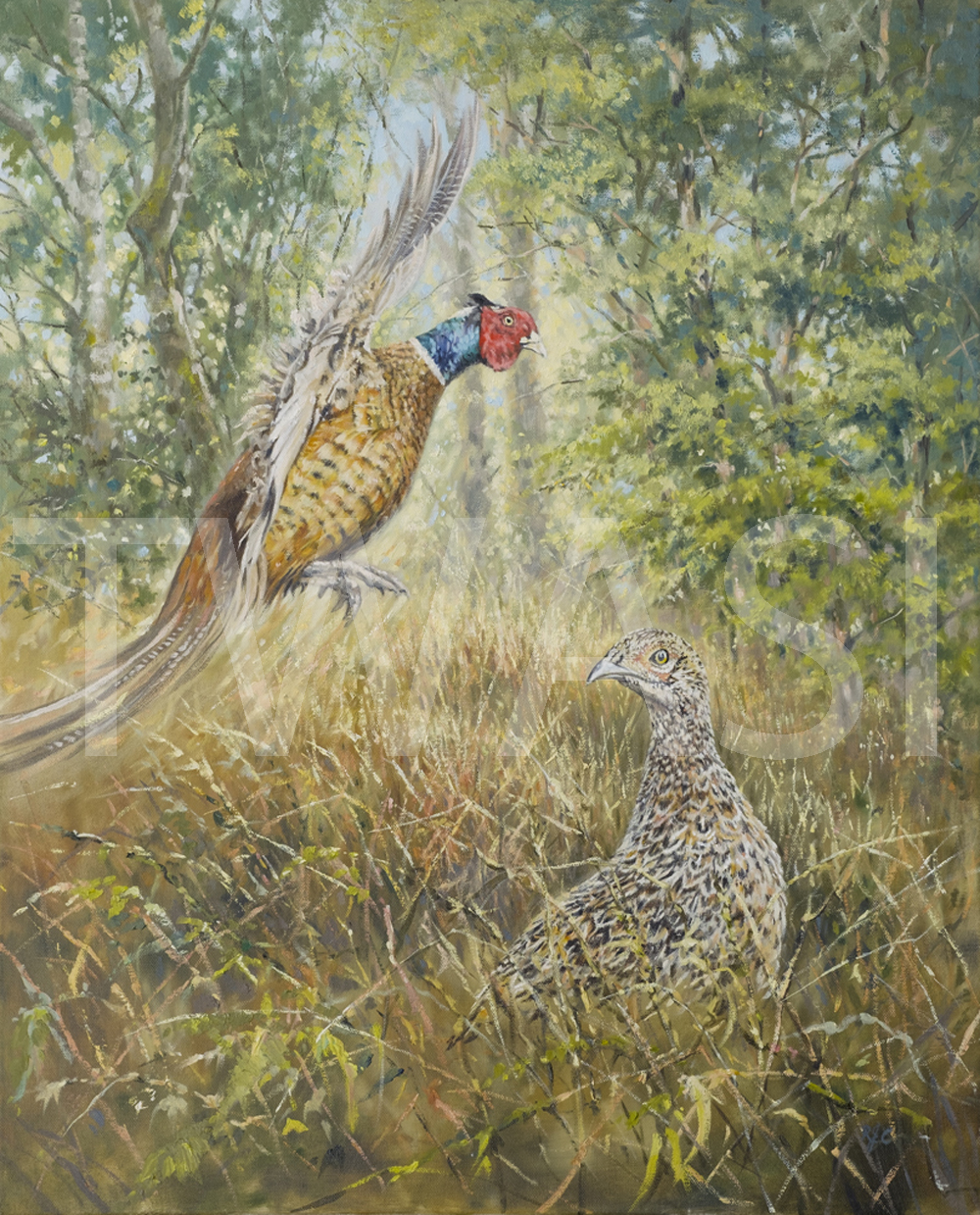 Startled by Richard Crabtree Oil 90 x 75 cms £2000