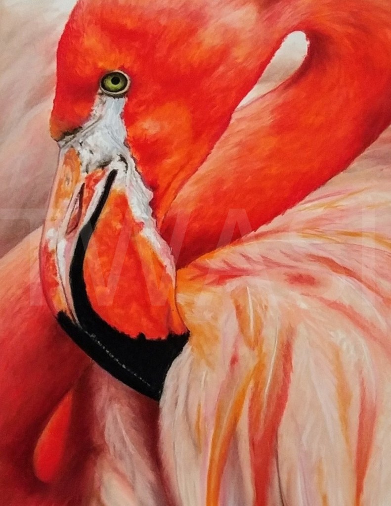 Flamingo by Sue Jarvis  Email: susang.jarvis@yahoo.co.uk Instagram: @sue.jarvis.art 