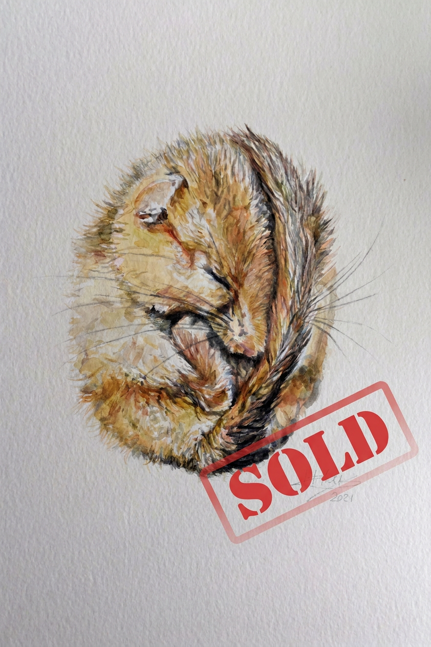 10. 'Dormouse in topor' by Immy Hathaway Watercolour 10. 'Dormouse in topor' by Immy Hathaway Watercolour