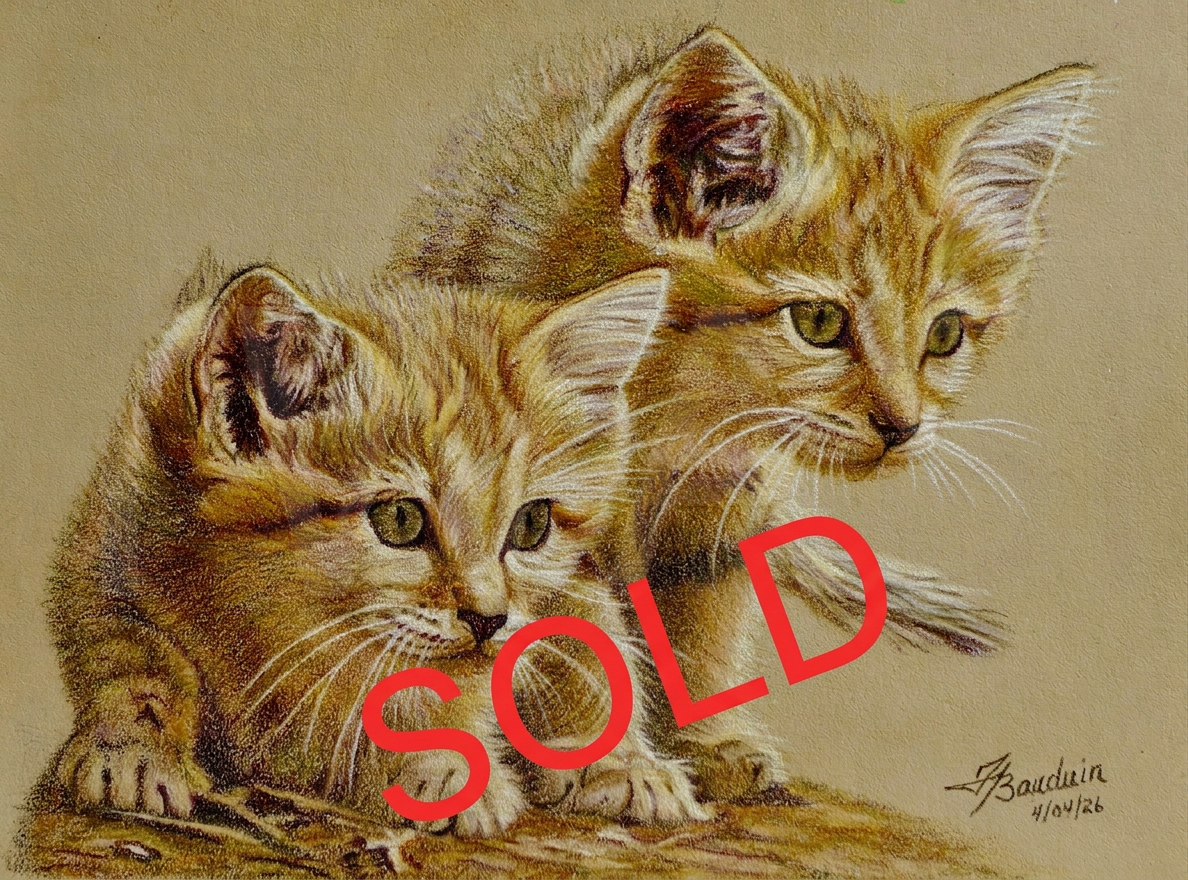 2. SOLD 'Sand Kittens' by France Bauduin Coloured Pencils 2. SOLD 'Sand Kittens' by France Bauduin Coloured Pencils