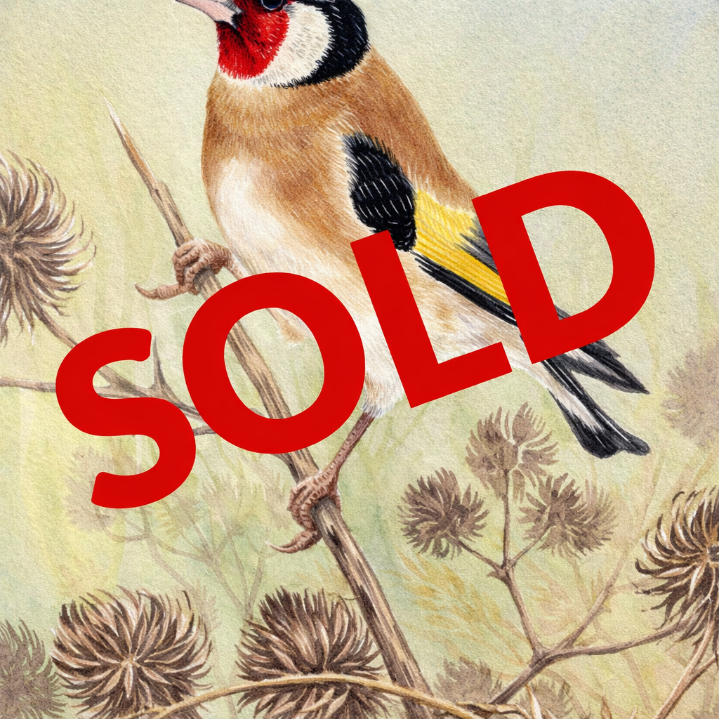 4. 'Goldfinch' by Valerie Briggs Watercolour 4. 'Goldfinch' by Valerie Briggs Watercolour