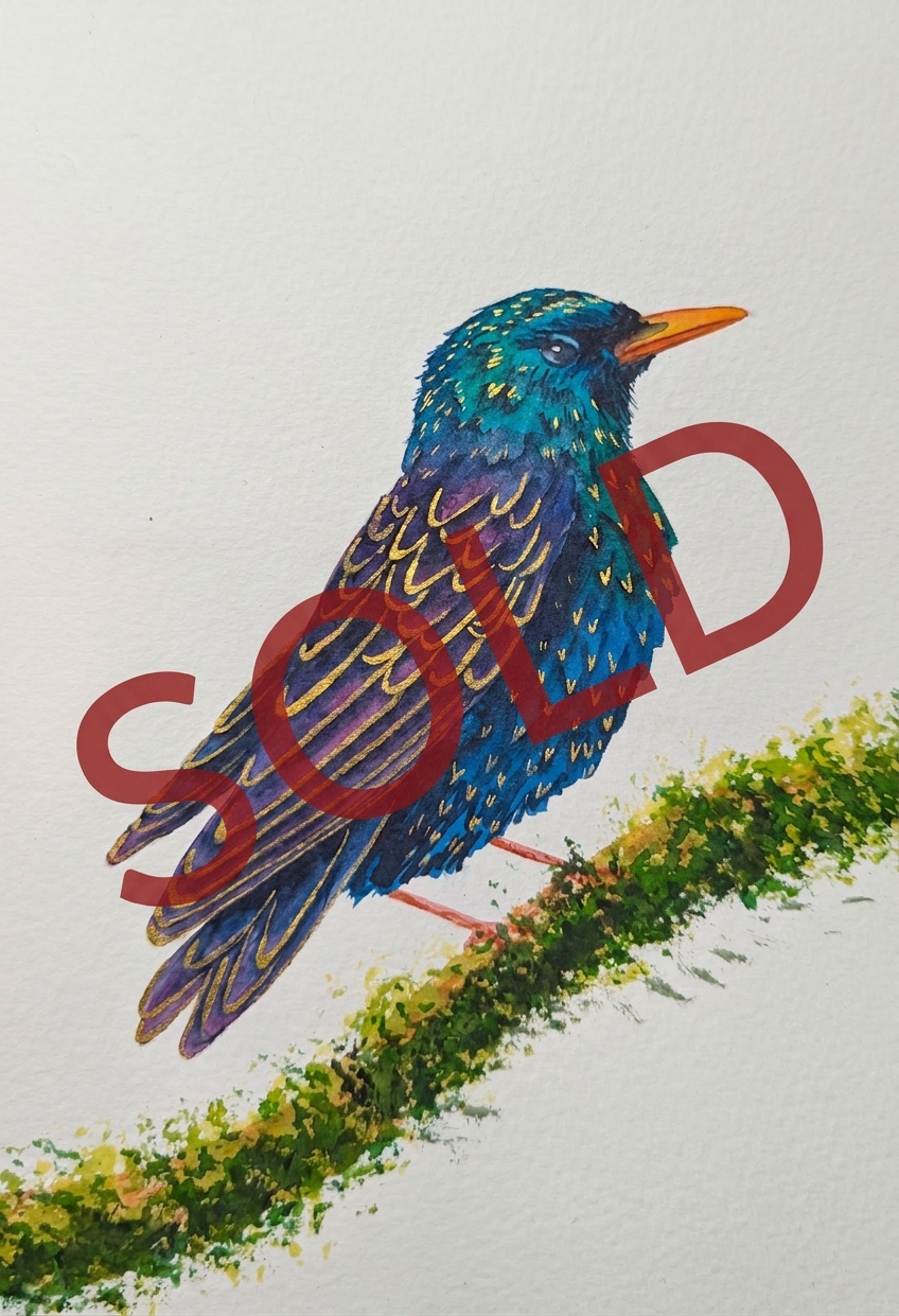 22. 'Starling' by Laura Gibbons - Watercolour 22. 'Starling' by Laura Gibbons - Watercolour