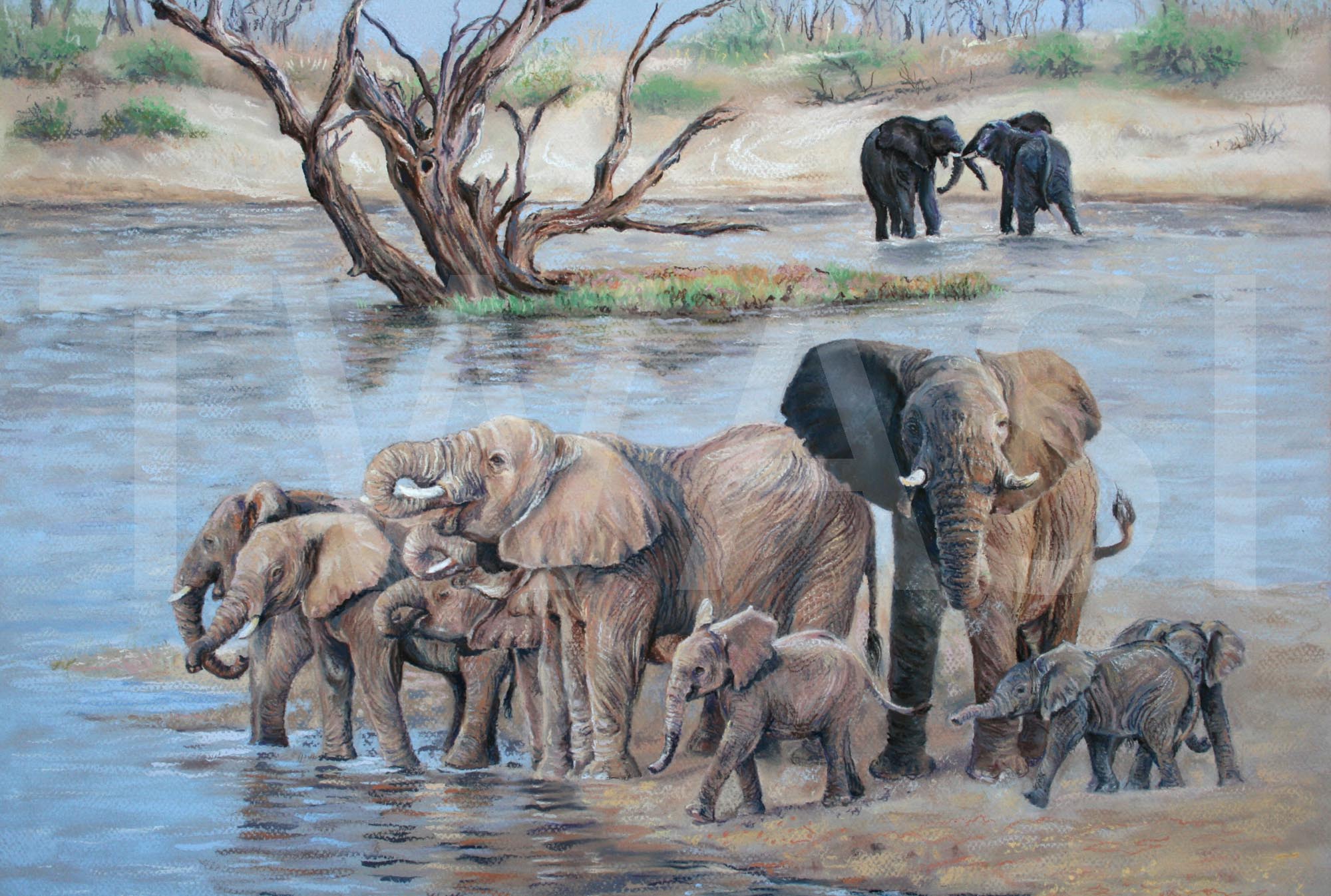 River of Life by Carol Barrett 50 x 50cm pastel £800 to be donated to the Sheldrick Wildlife Trust