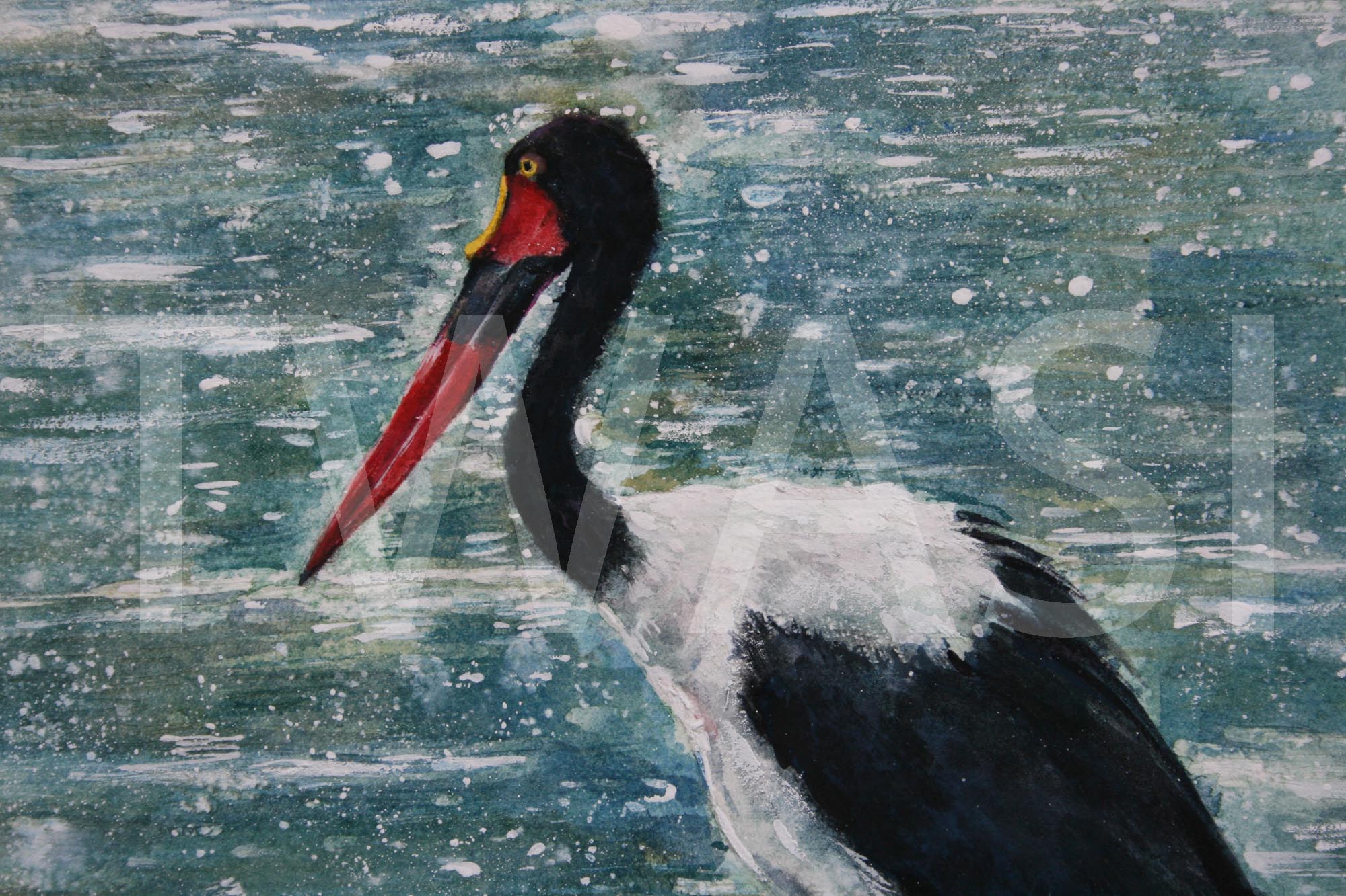 Saddlebilled Stork by Carol Barrett 41 x 35cm Watercolour and Gouache £600 Donated to the David Shepherd Wildlife Foundation